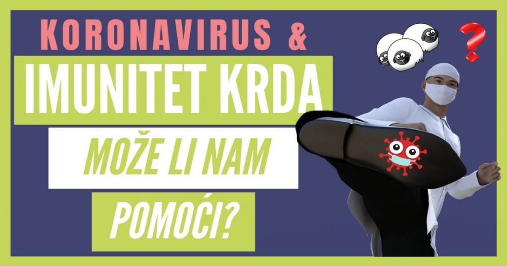 Imunitet krda i utjecaj na jačanje imuniteta thumbnail